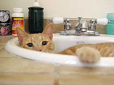 Congrats, Common Sense! You Win This Week's Caption Contest