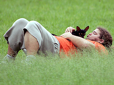 Sad News: Jorge Garcia's Chihuahua Nunu Dies
