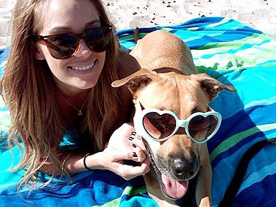 Lauren Conrad's Dog Chloe Likes to Chew Gum!