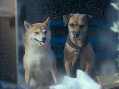 Emma Watson Turns Into a Dog – And It's Not a Spell