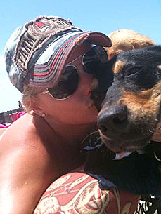 Sad News: Miranda Lambert's Dog Dies in Accident