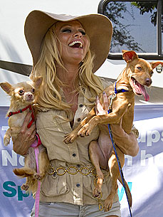 Pamela Anderson Helps Needy Louisiana Pups – And Takes Two Home!