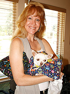 Pit Bulls Save Chihuahua from Near-Fatal Coyote Attack