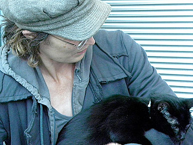 Missing California Cat Found Wandering N.Y.C. Streets