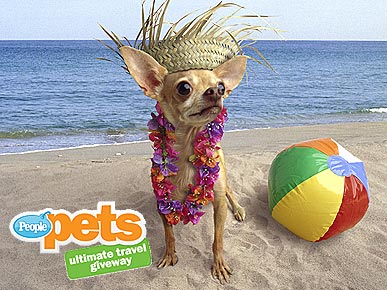 Save the Date! PEOPLEPets' Ultimate Travel Giveaway