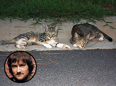 Country Singer Eric Church Saves Two Homeless Cats