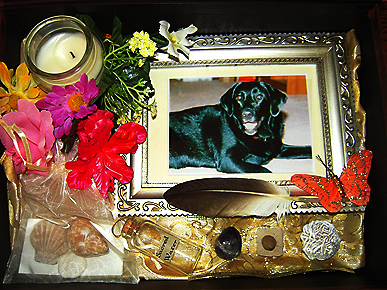 Would You Have a Memorial for Your Pet?