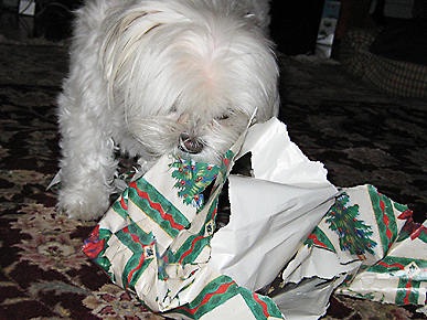 Animal D'Oh! Megan the Dog Unwraps Her Presents