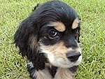 April's Cutest of the Cute!