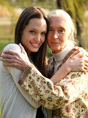 Angelina Jolie Appears in Jane Goodall Film, Jane's Journey
