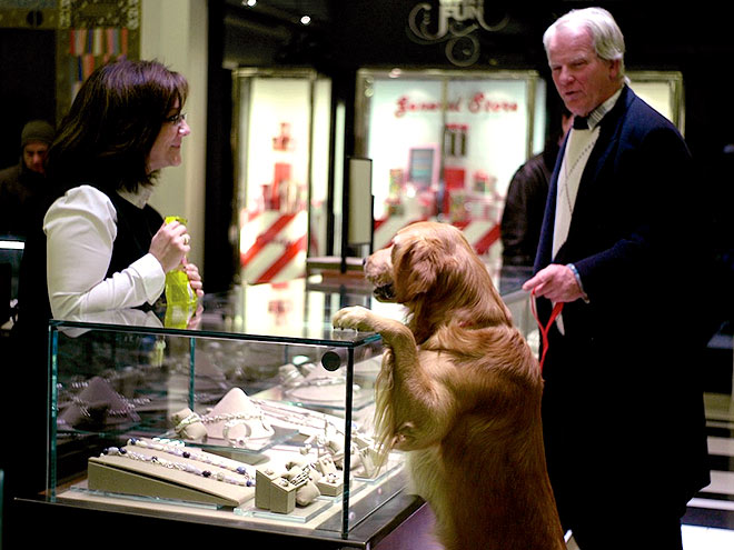 Pets Shop 'Til They Drop!
