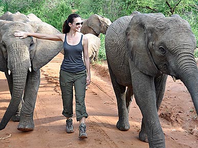 Kristin Davis's Rescued Elephant Is a 'Champ'