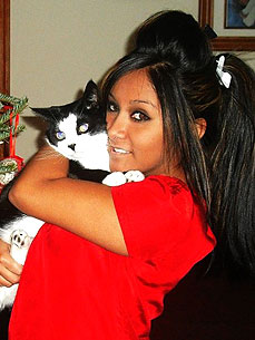 Snooki: I Have 'Bad Luck with Guys Because I'm Obsessed with My Cat'