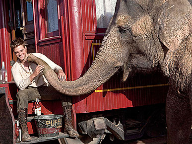 PHOTO: Robert Pattinson Gets Feisty with an Elephant