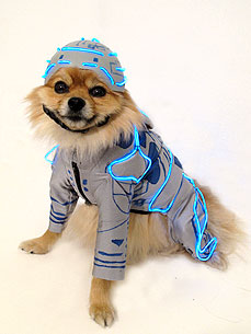 Tron Dog Is Taking Over Your Mainframe