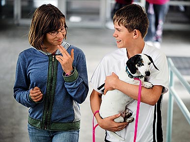 Waiting for a Sign: Deaf Dog Finds Love After Rejection