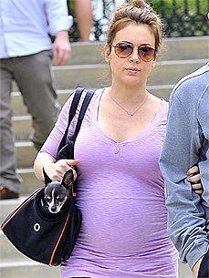 Alyssa Milano's Dogs Know the Baby Is on His Way