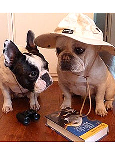 Congrats, Abby! You Won This Week's Caption Contest