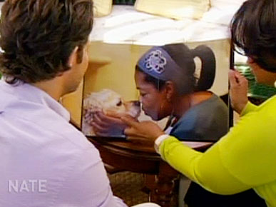 What Oprah Would Take in a Fire: A Photo Album of Her Dogs