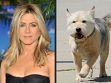 Sad News: Jennifer Aniston's Dog Norman Dies