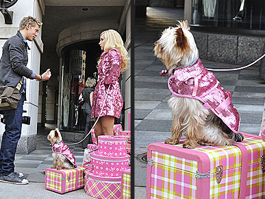 Sharpay's Sparkly Pink Dog Coat