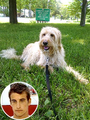 Austin Hatch's Dog Survives Plane Crash