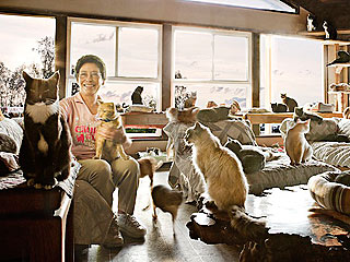 Woman with 700 Cats Admits, 'I'm Crazy'