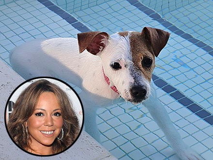 Mariah Carey's Post-Baby Workout with Dog (PHOTO)