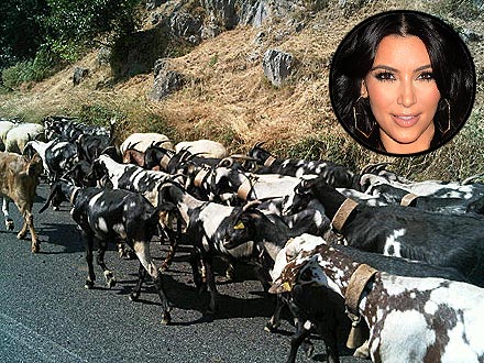 Kim Kardashian, Honeymoon Tweets About Goats