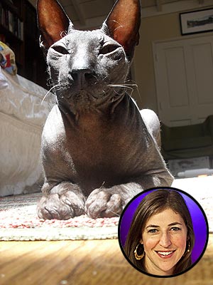 Mayim Bialik Forgets Her Pain – with Help from Her Cat