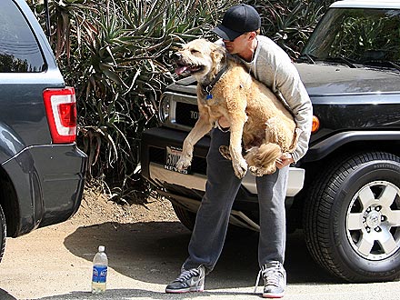 Ryan Gosling Gives His Dog a Lift into the Car