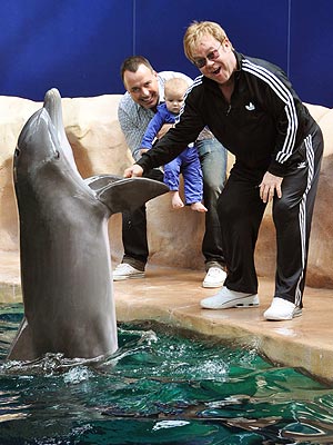 Elton John, David Furnish, Zachary Meet Dolphin: Photo