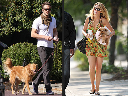 Blake Lively, Ryan Reynolds Have a Doggie Date