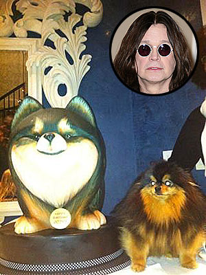 Ozzy Osbourne's Dog Birthday Cake: Photo