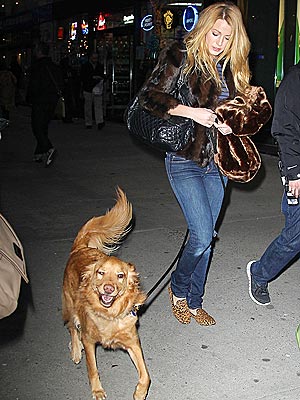 Blake Lively Walks Ryan Reynolds's Dog