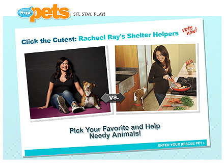 Meet the Winners of Click the Cutest: Rachael Ray's Shelter Helpers!