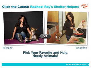 Click the Cutest: Rachael Ray's Shelter Helpers
