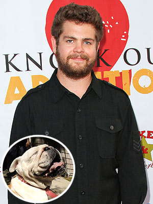 Jack Osbourne's Dog Dies