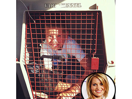 Candace Cameron Bure's Son in a Dog Carrier Photo