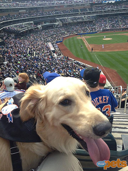 The Cutest Pets on Twitter This Week!
