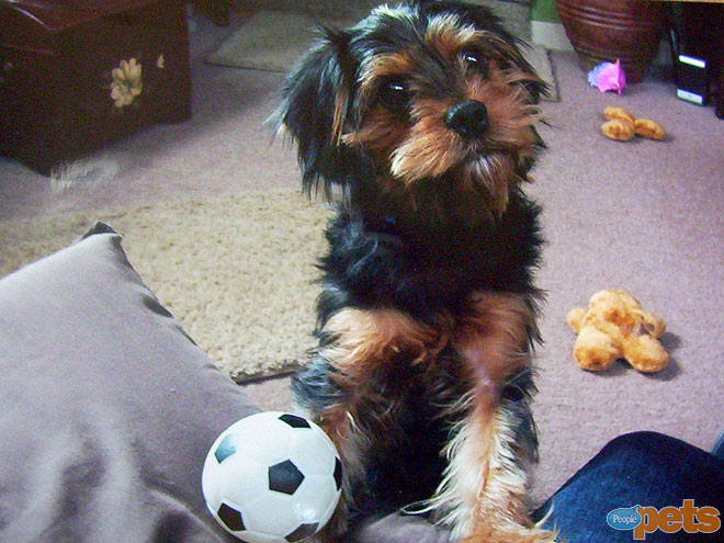 December's Cutest of the Cute!