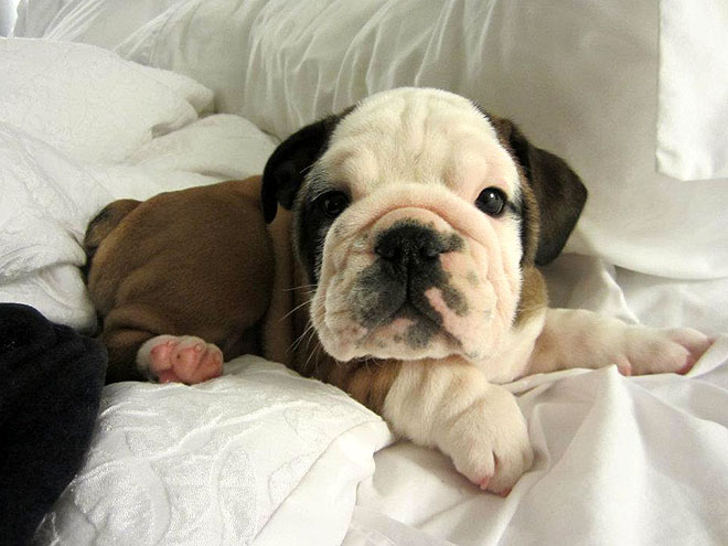 May's Cutest of the Cute!