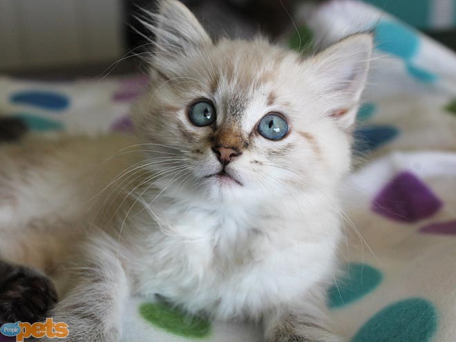 October's Cutest of the Cute!