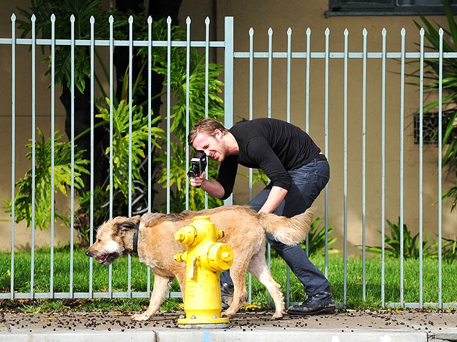 7 Signs Ryan Gosling's in Love – with Dogs