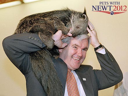 Newt Gingrich Launches Campaign Website for Animals