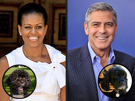 George Clooney, Michelle Obama Want to Be Reincarnated as Dogs