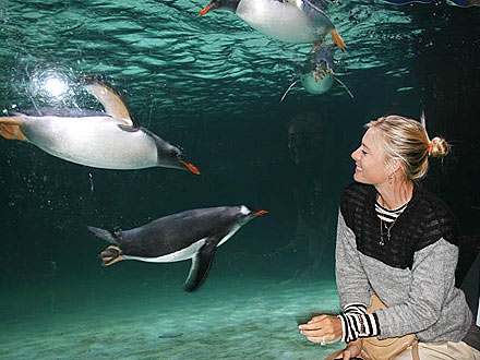 Maria Sharapova Breaks from Tennis – for Penguins!