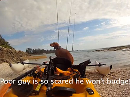 Kayaker Rescues Dog from Gulf of Mexico