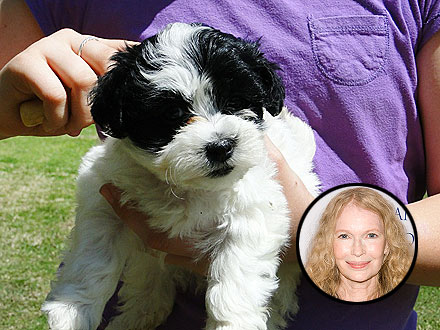 Mia Farrow Adopts a Puppy