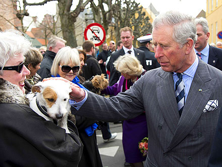 Charles & Camilla Greet Furry Fans in Denmark